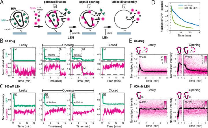 https://cdn.ncbi.nlm.nih.gov/pmc/blobs/768c/10863983/8b60268ca950/elife-83605-fig2.jpg