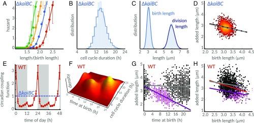 https://cdn.ncbi.nlm.nih.gov/pmc/blobs/768c/6275512/939e8e88119c/pnas.1811309115fig03.jpg