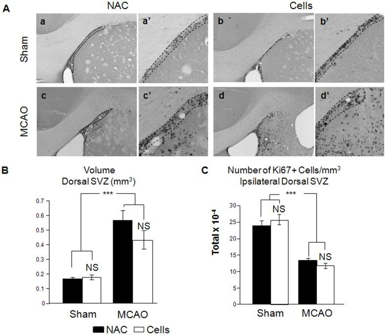 https://cdn.ncbi.nlm.nih.gov/pmc/blobs/768d/3503964/481291388212/pone.0050444.g002.jpg