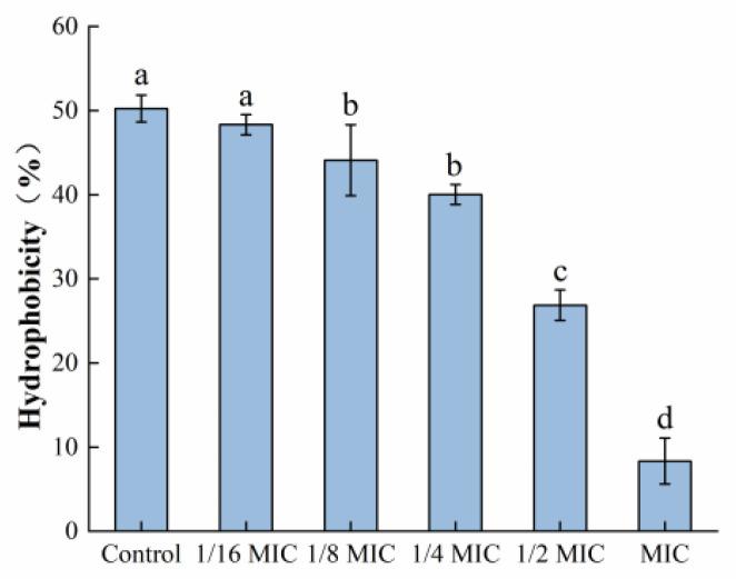 https://cdn.ncbi.nlm.nih.gov/pmc/blobs/7690/10706080/a1bfc81498f5/foods-12-04301-g010.jpg