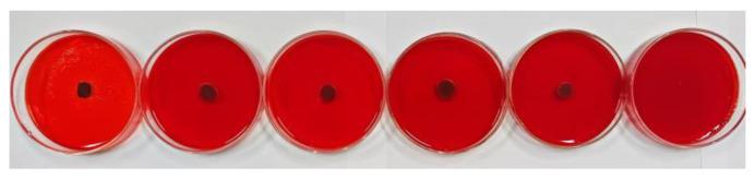 https://cdn.ncbi.nlm.nih.gov/pmc/blobs/7690/10706080/e7c5a07ef10f/foods-12-04301-g009.jpg