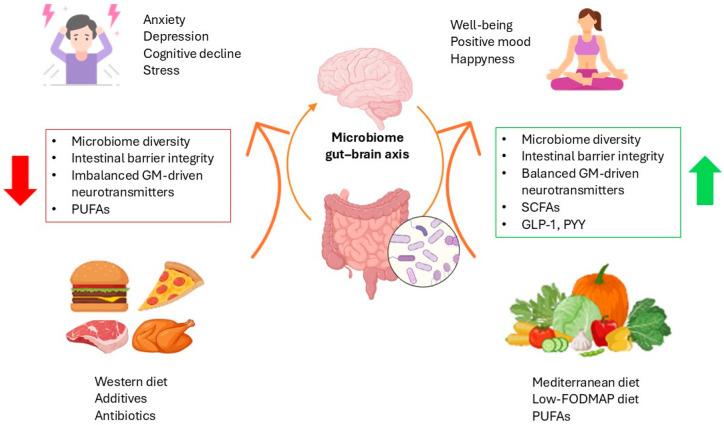 https://cdn.ncbi.nlm.nih.gov/pmc/blobs/7690/11510627/328ceca49f58/nutrients-16-03515-g002.jpg