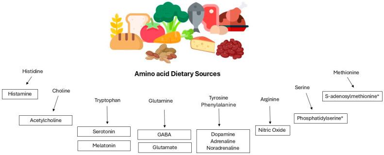 https://cdn.ncbi.nlm.nih.gov/pmc/blobs/7690/11510627/d7ab39cf3366/nutrients-16-03515-g001.jpg