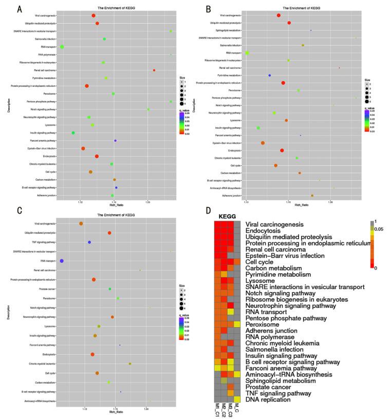 https://cdn.ncbi.nlm.nih.gov/pmc/blobs/7690/9222919/51a016037598/genes-13-01013-g003.jpg