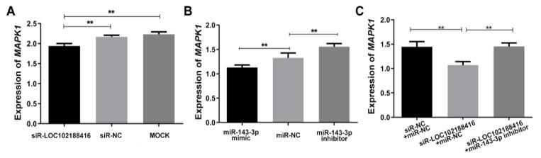 https://cdn.ncbi.nlm.nih.gov/pmc/blobs/7690/9222919/7be8478e1977/genes-13-01013-g006.jpg