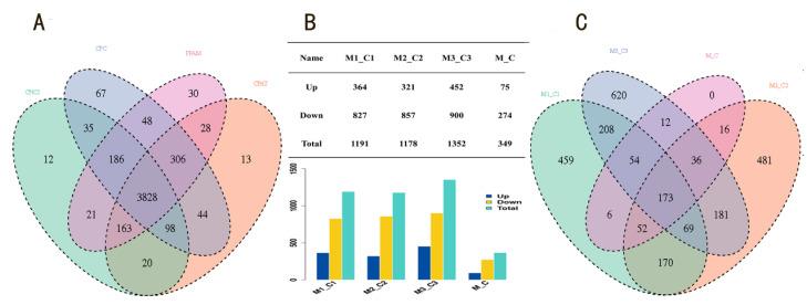 https://cdn.ncbi.nlm.nih.gov/pmc/blobs/7690/9222919/9a4bb5ad7d4f/genes-13-01013-g001.jpg