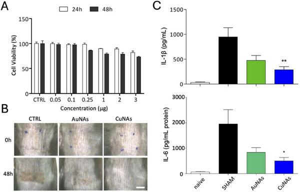 https://cdn.ncbi.nlm.nih.gov/pmc/blobs/7691/12023827/629eddfef1c0/ADHM-14-0-g010.jpg