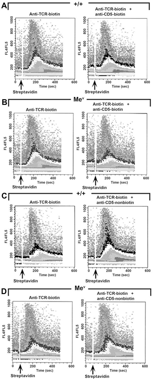 https://cdn.ncbi.nlm.nih.gov/pmc/blobs/7693/4899029/bd0c6bd5f46f/IJMM-38-01-0045-g05.jpg