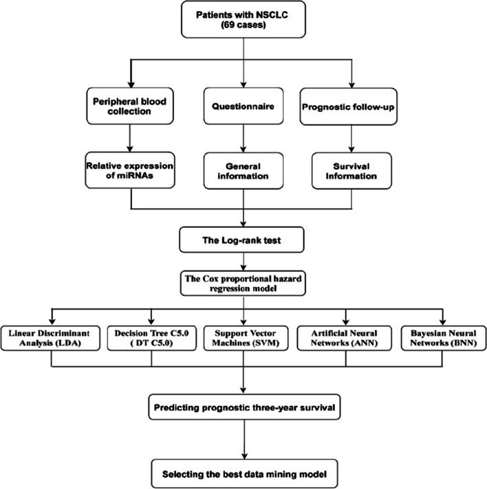 https://cdn.ncbi.nlm.nih.gov/pmc/blobs/7696/10777550/a755f2abdd7e/12885_2024_11830_Fig2_HTML.jpg