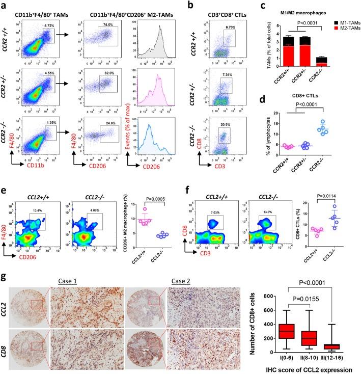 https://cdn.ncbi.nlm.nih.gov/pmc/blobs/7696/7045401/41fe4e1375e1/12943_2020_1165_Fig5_HTML.jpg
