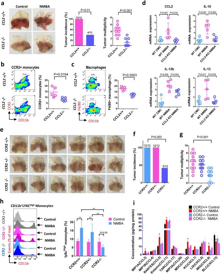 https://cdn.ncbi.nlm.nih.gov/pmc/blobs/7696/7045401/500c683f7752/12943_2020_1165_Fig3_HTML.jpg