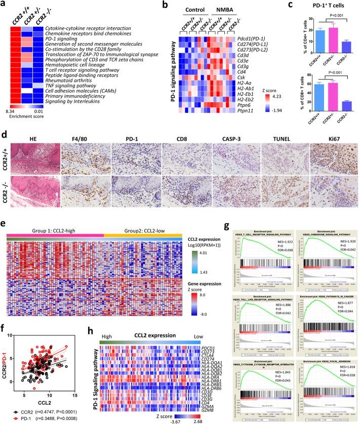https://cdn.ncbi.nlm.nih.gov/pmc/blobs/7696/7045401/cf6343f988d5/12943_2020_1165_Fig4_HTML.jpg