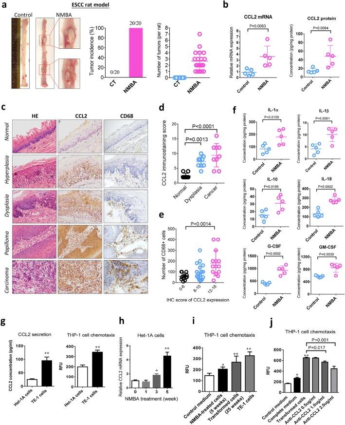 https://cdn.ncbi.nlm.nih.gov/pmc/blobs/7696/7045401/ebda4b25422d/12943_2020_1165_Fig2_HTML.jpg