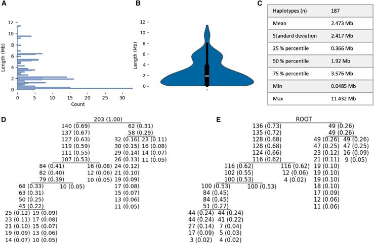 https://cdn.ncbi.nlm.nih.gov/pmc/blobs/7697/10870140/7d0d7d0e7392/gr5.jpg