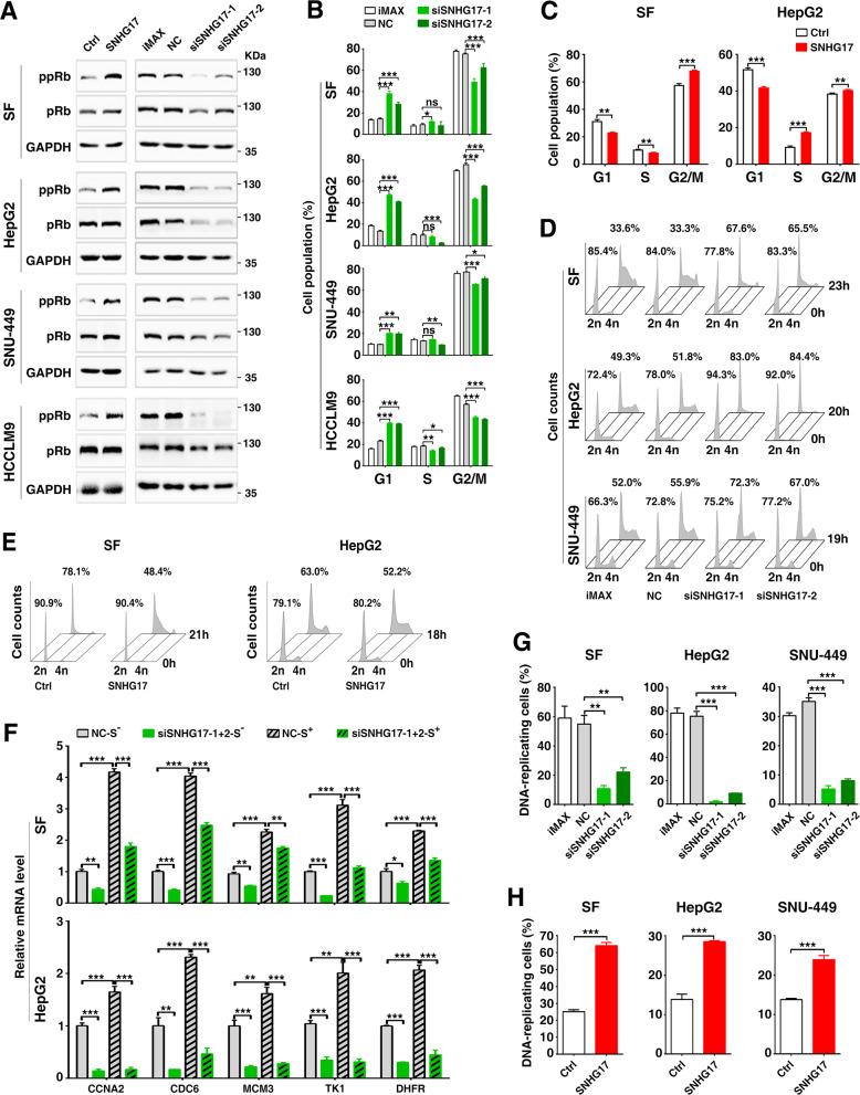 https://cdn.ncbi.nlm.nih.gov/pmc/blobs/7698/8528917/e818cb35ba65/41419_2021_4238_Fig3_HTML.jpg