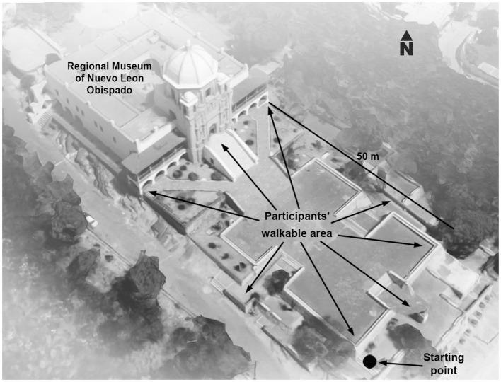 https://cdn.ncbi.nlm.nih.gov/pmc/blobs/769a/11186383/440672b81a42/fpsyg-15-1303397-g0002.jpg