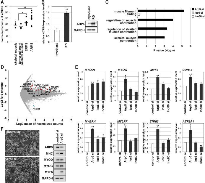 https://cdn.ncbi.nlm.nih.gov/pmc/blobs/769b/8983046/063b25f94541/elife-77746-fig2.jpg
