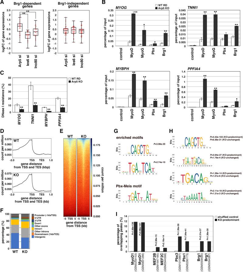 https://cdn.ncbi.nlm.nih.gov/pmc/blobs/769b/8983046/25ed364ba1a3/elife-77746-fig7.jpg