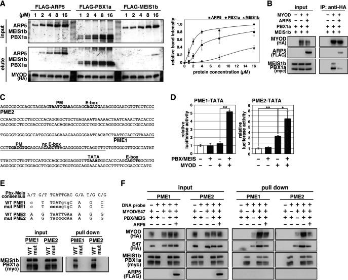https://cdn.ncbi.nlm.nih.gov/pmc/blobs/769b/8983046/abcedccfdc9e/elife-77746-fig5.jpg