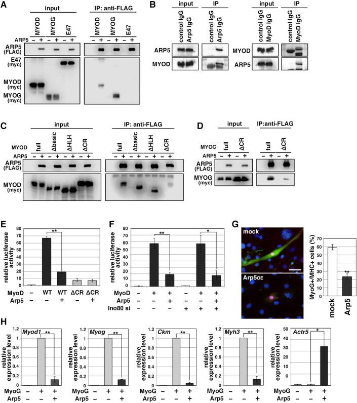 https://cdn.ncbi.nlm.nih.gov/pmc/blobs/769b/8983046/aca1c1851317/elife-77746-fig4.jpg
