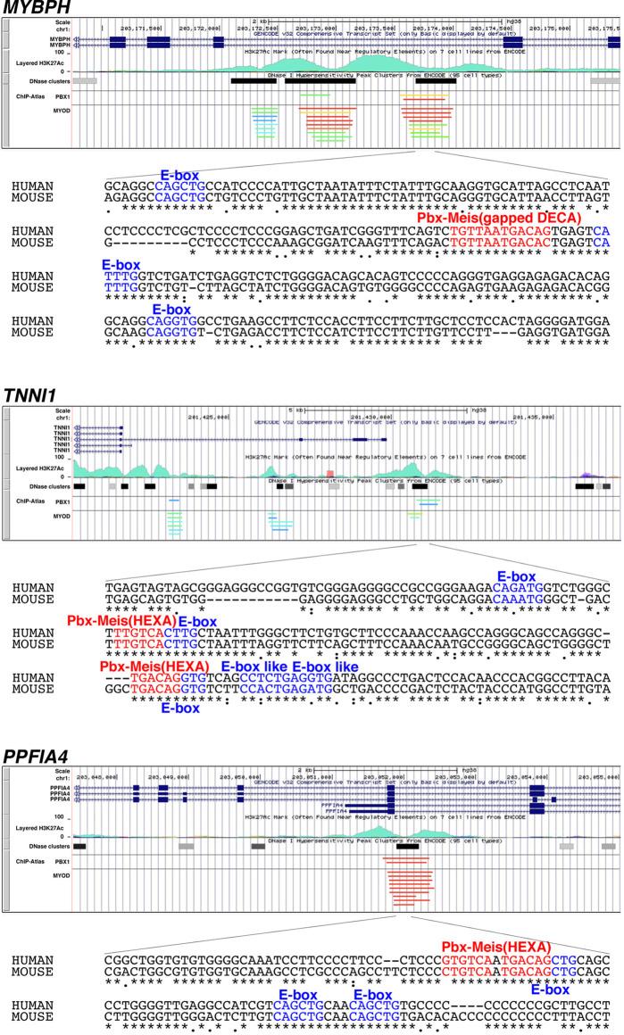 https://cdn.ncbi.nlm.nih.gov/pmc/blobs/769b/8983046/e3182210f8fb/elife-77746-fig7-figsupp1.jpg