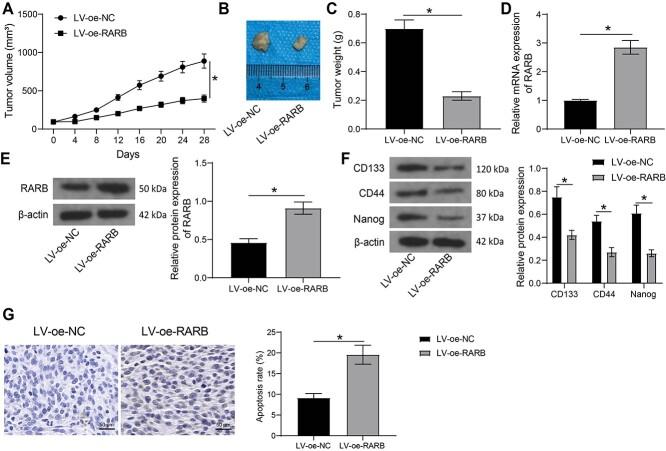 https://cdn.ncbi.nlm.nih.gov/pmc/blobs/769b/9855330/4bc394701dbe/rrac060f3.jpg