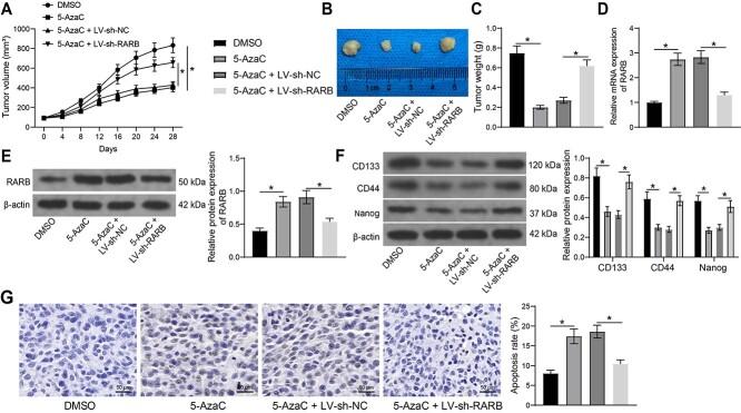 https://cdn.ncbi.nlm.nih.gov/pmc/blobs/769b/9855330/a666320834e6/rrac060f7.jpg