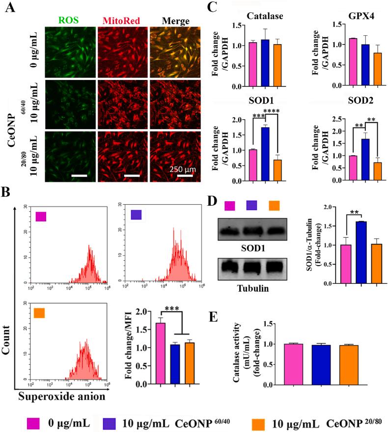https://cdn.ncbi.nlm.nih.gov/pmc/blobs/769c/9507991/db24ec45d08f/gr2.jpg