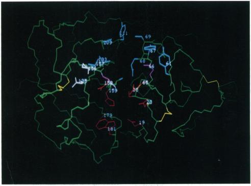 https://cdn.ncbi.nlm.nih.gov/pmc/blobs/769e/1138238/ba916e0cadf2/biochemj00085-0206-a.jpg