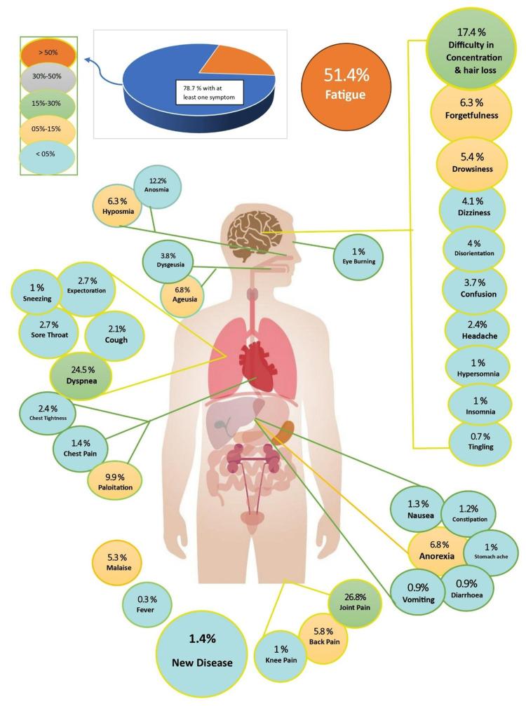 https://cdn.ncbi.nlm.nih.gov/pmc/blobs/76a0/10491500/0e3191d5a8ca/cureus-0015-00000043239-i01.jpg