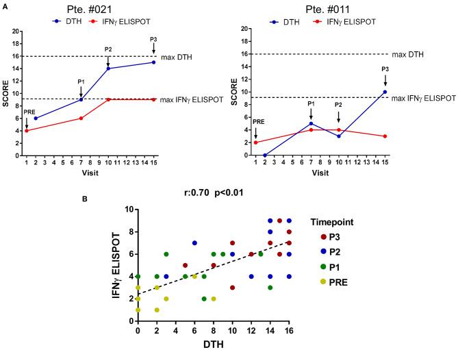 https://cdn.ncbi.nlm.nih.gov/pmc/blobs/76a3/7290006/a14ab65ad471/fimmu-11-01147-g0002.jpg