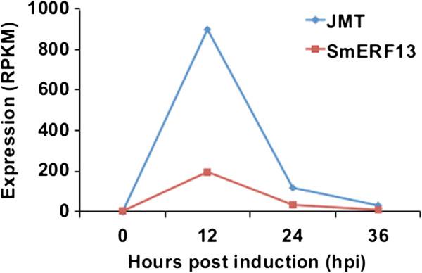 https://cdn.ncbi.nlm.nih.gov/pmc/blobs/76a5/3913955/dbe739720431/1471-2164-15-73-7.jpg