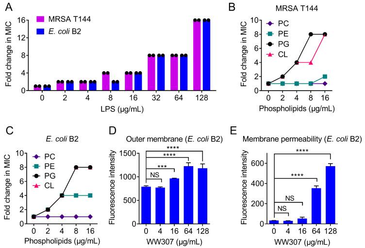 https://cdn.ncbi.nlm.nih.gov/pmc/blobs/76a6/8063935/0a250a2918bb/pharmaceutics-13-00438-g007.jpg