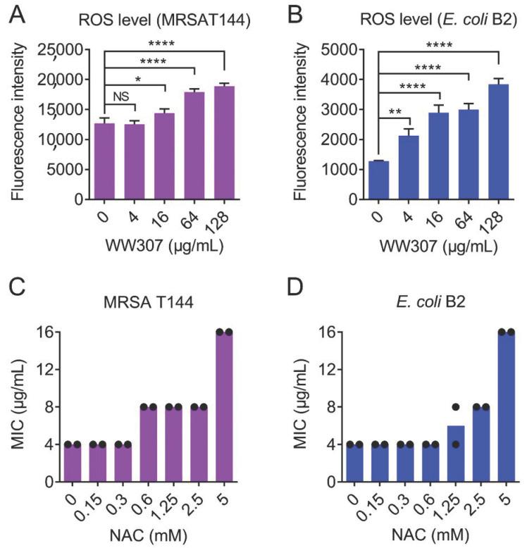 https://cdn.ncbi.nlm.nih.gov/pmc/blobs/76a6/8063935/3c75f0c95da3/pharmaceutics-13-00438-g009.jpg