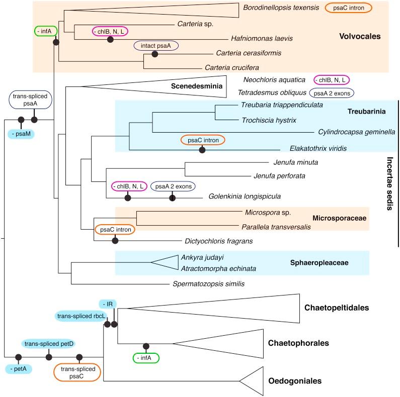 https://cdn.ncbi.nlm.nih.gov/pmc/blobs/76aa/6525593/d183b84cabaf/peerj-07-6899-g004.jpg