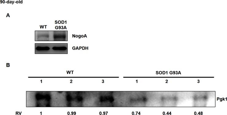 https://cdn.ncbi.nlm.nih.gov/pmc/blobs/76ab/6667276/7a86f408cf3f/elife-49175-fig1-figsupp3.jpg