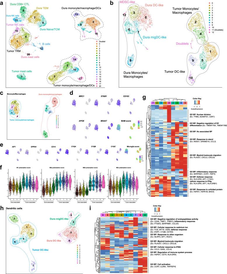 https://cdn.ncbi.nlm.nih.gov/pmc/blobs/76ad/9088131/18c784e0b37f/13073_2022_1051_Fig5_HTML.jpg