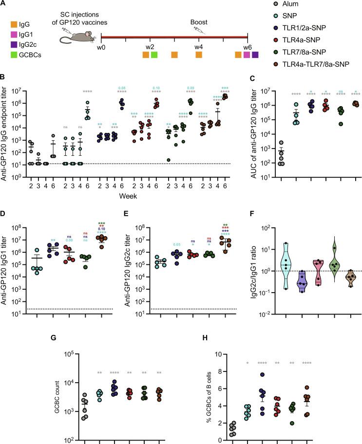 https://cdn.ncbi.nlm.nih.gov/pmc/blobs/76b3/11305391/066692de1845/sciadv.adn7187-f7.jpg
