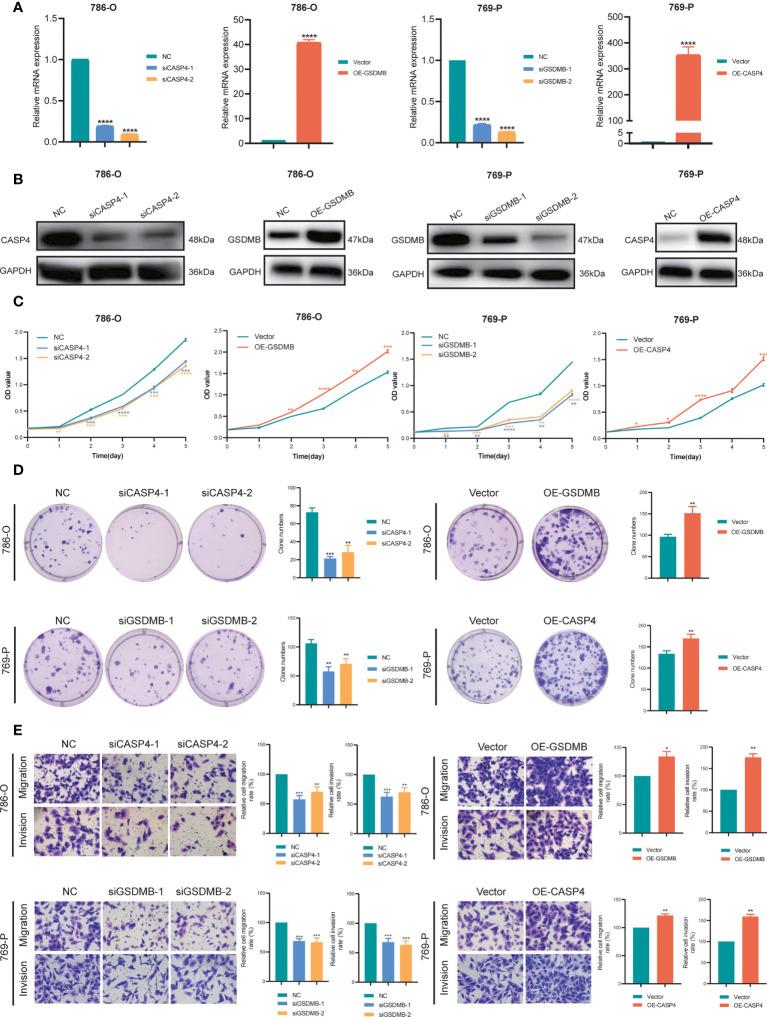 https://cdn.ncbi.nlm.nih.gov/pmc/blobs/76b3/9561249/63747f31eaac/fimmu-13-1021935-g010.jpg