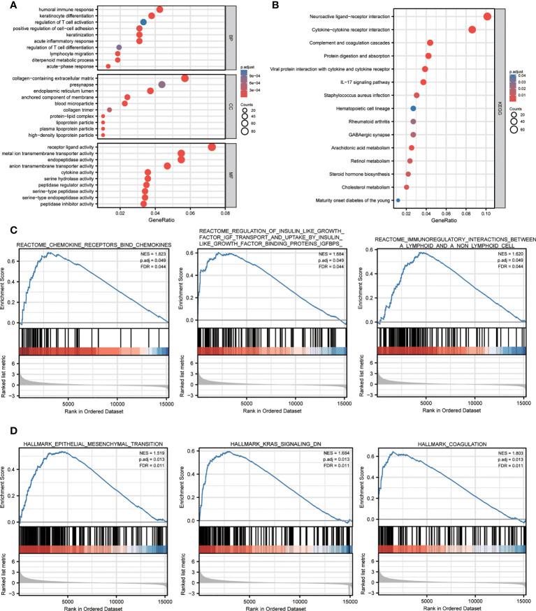 https://cdn.ncbi.nlm.nih.gov/pmc/blobs/76b3/9561249/8b4e1fd3b7ab/fimmu-13-1021935-g004.jpg