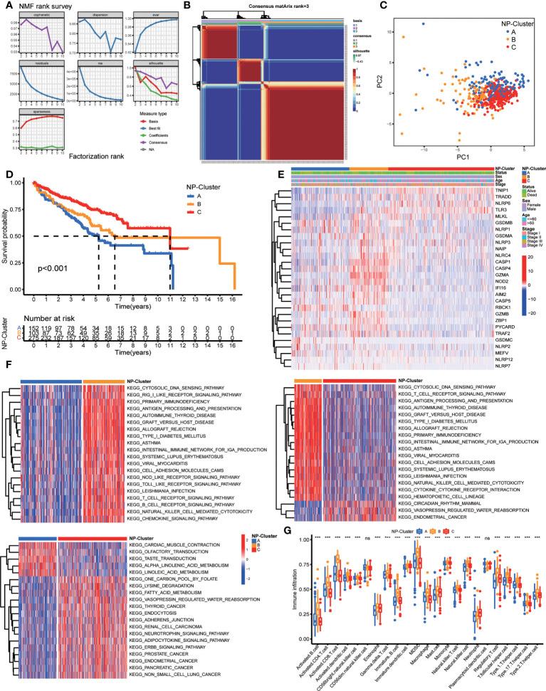 https://cdn.ncbi.nlm.nih.gov/pmc/blobs/76b3/9561249/a4b66419ebb2/fimmu-13-1021935-g002.jpg