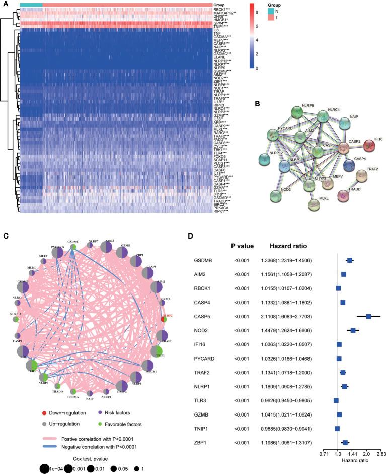 https://cdn.ncbi.nlm.nih.gov/pmc/blobs/76b3/9561249/dc01b1e33710/fimmu-13-1021935-g001.jpg