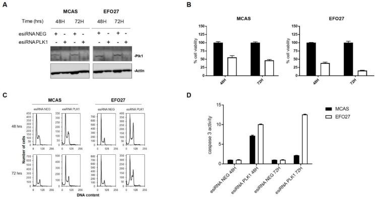 https://cdn.ncbi.nlm.nih.gov/pmc/blobs/76b5/7140026/ad5596d7c91d/cancers-12-00672-g002.jpg
