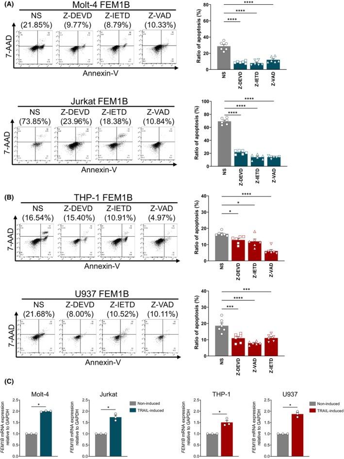 https://cdn.ncbi.nlm.nih.gov/pmc/blobs/76b6/12319709/8e58c710bb79/FEB4-15-1319-g002.jpg