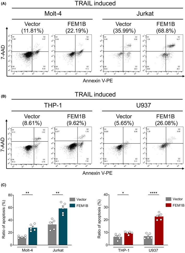 https://cdn.ncbi.nlm.nih.gov/pmc/blobs/76b6/12319709/ae3f294b9028/FEB4-15-1319-g011.jpg