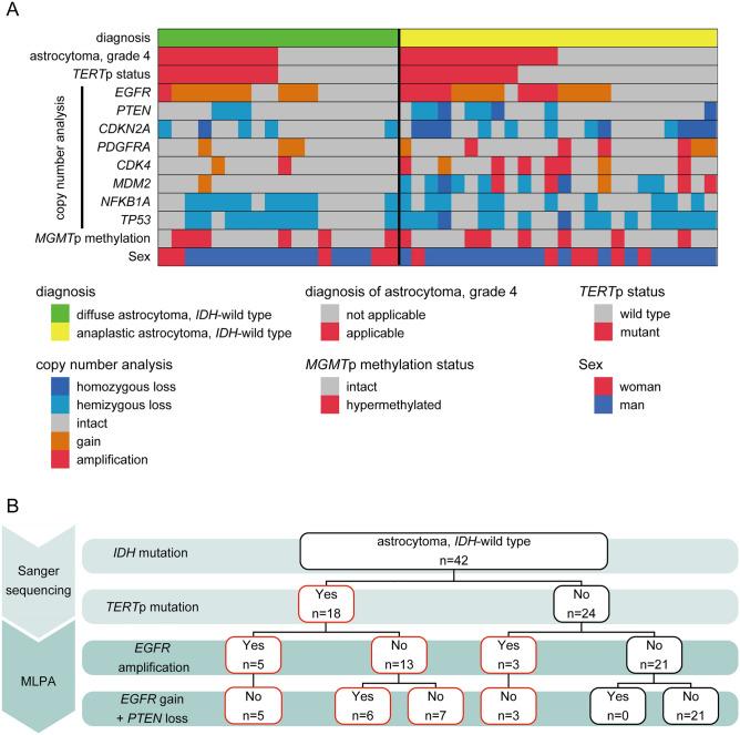 https://cdn.ncbi.nlm.nih.gov/pmc/blobs/76b7/8277860/2e2eee680ca9/41598_2021_93937_Fig1_HTML.jpg