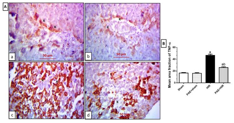 https://cdn.ncbi.nlm.nih.gov/pmc/blobs/76b7/9495847/a5b9fa50e51e/antioxidants-11-01687-g008.jpg