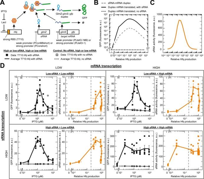 https://cdn.ncbi.nlm.nih.gov/pmc/blobs/76b8/4787825/27b1cef6432d/gkv777fig3.jpg