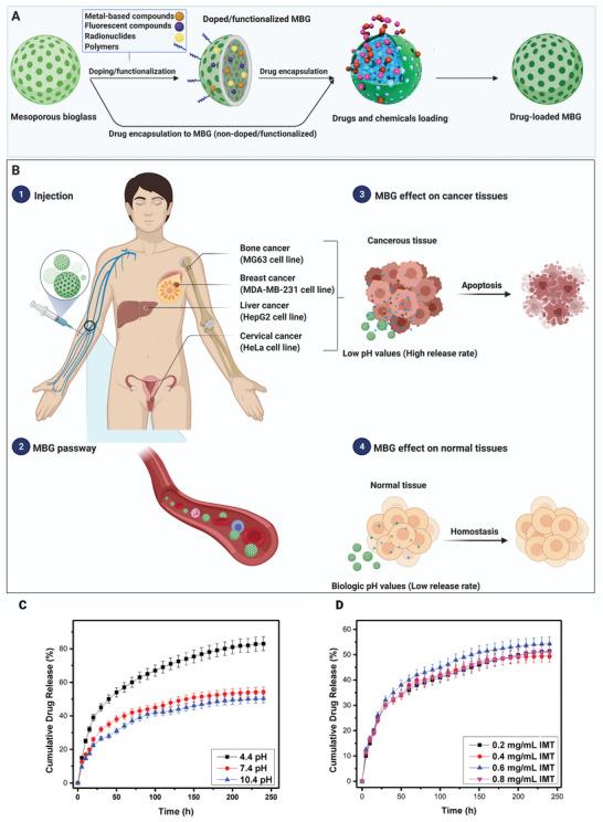https://cdn.ncbi.nlm.nih.gov/pmc/blobs/76b8/8805580/1247927d67c3/ADVS-9-2102678-g015.jpg