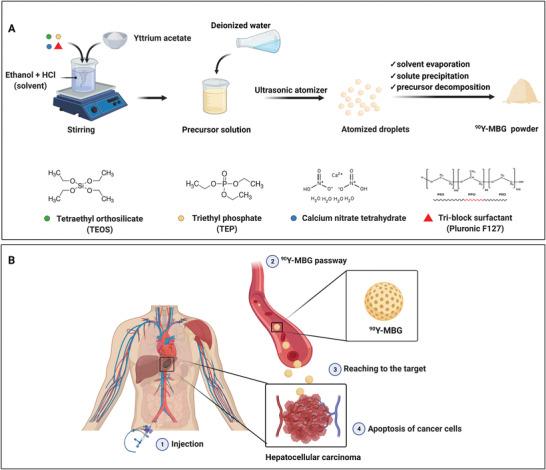 https://cdn.ncbi.nlm.nih.gov/pmc/blobs/76b8/8805580/186a103e1cc2/ADVS-9-2102678-g005.jpg